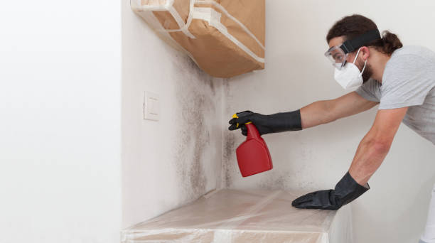 Professional Crawl Space Mold Remediation technician working in Saint Joseph, MI