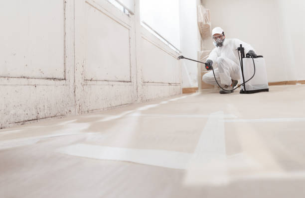 24/7 Emergency Crawl Space Mold Remediation experts in Saint Joseph, MI